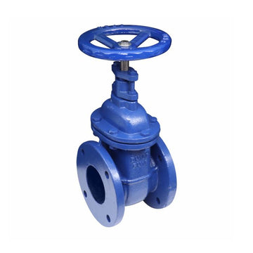 250 TAB D CAST FLANGE GATE VALVE