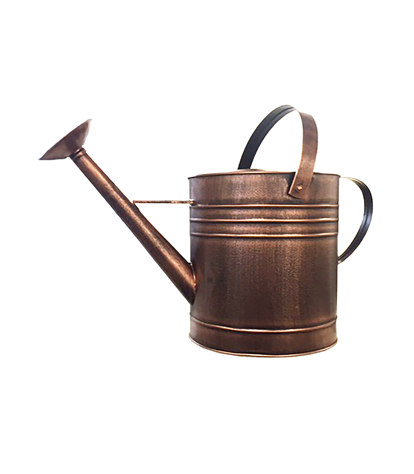 Watering Can with Rose, 9L, Black