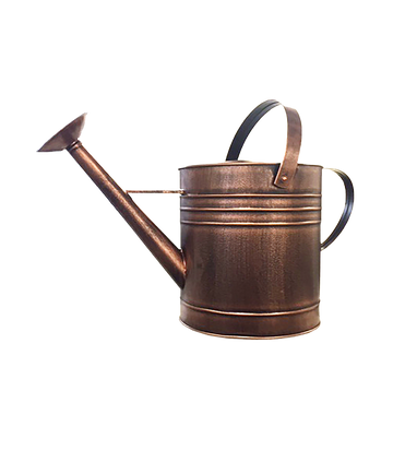 Watering Can with Rose, 9L, Black