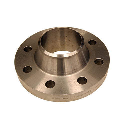 10 C300 ANSI SO RF FLANGE