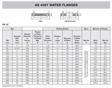 DN100 AS4087 PN16 BLD FF FLANGE