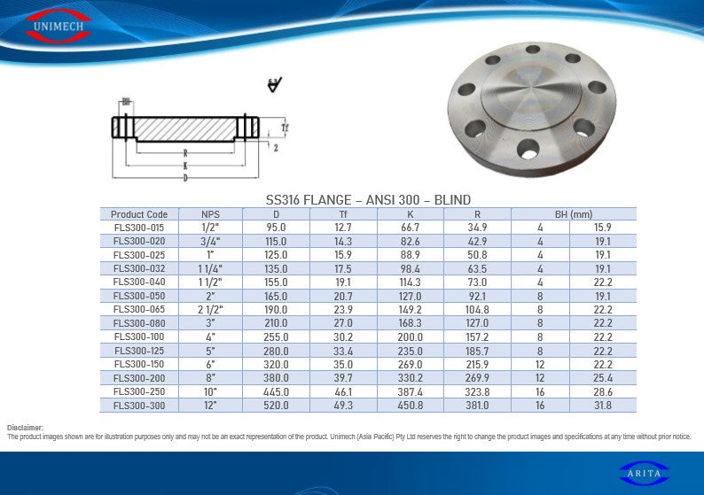 1  C300 ANSI FLANGE BLIND