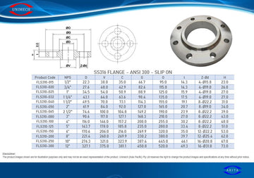 1/2 C300 ANSI FLANGE BSP