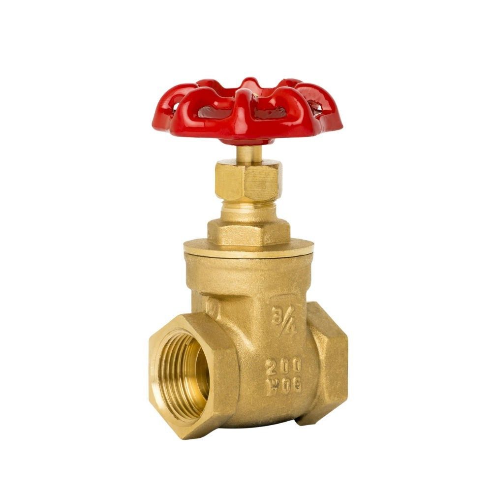 80 BRASS FLANGED GATE VALVE DRD D O/S INDICATOR