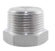1  3000LB HEX PLUGS BSPT