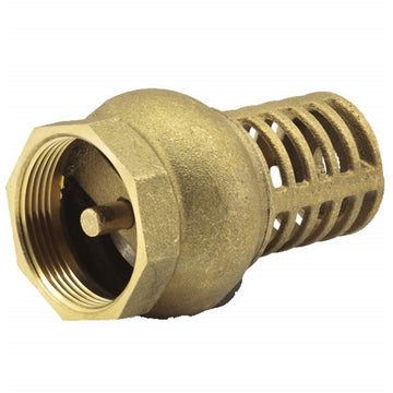 1  BRASS FOOT VALVE F502