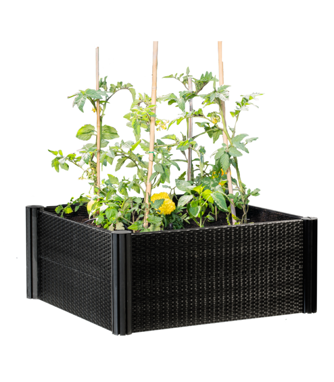 Raised Garden Bed 600x 600x 300mm - Ratten