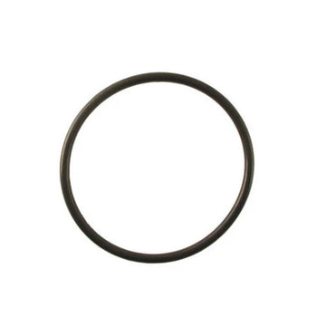 ARKAL SEAL RING 100MM  VEE FILTER