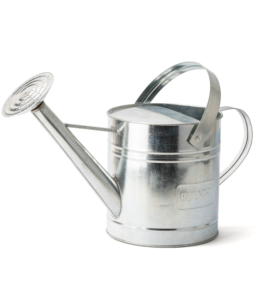 Watering Can with Rose, 9L, Galvanised