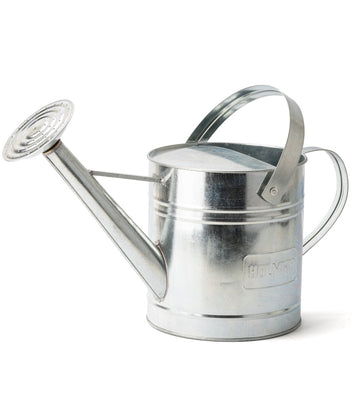 Watering Can with Rose, 9L, Galvanised