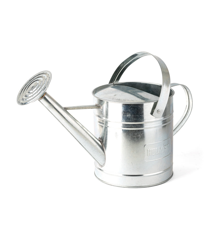 Watering Can with Rose, 5L, Galvanised