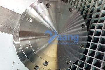 20MM 316/316L #150 BLD RF FLANGE B16.5