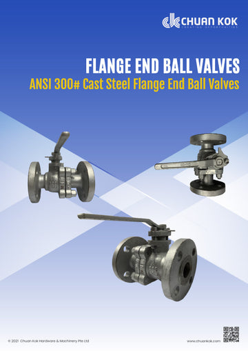 300 TAB E CAST FLANGE G/VALVE