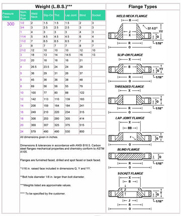 15MM 316/316L #300 BLD RF FLANGE B16.5